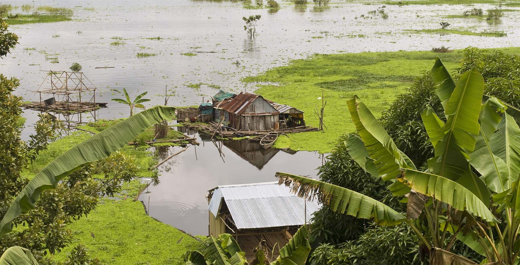 Riverside homes among flooded forest and banana plants in the Amazon